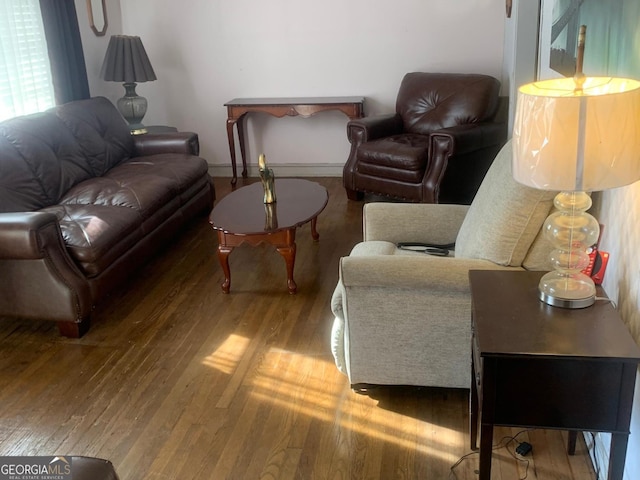 living room with hardwood / wood-style floors