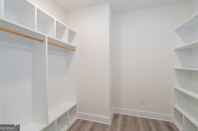 walk in closet with light wood-type flooring