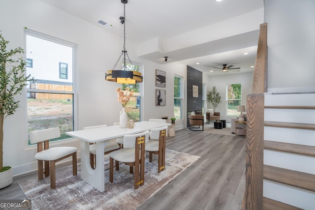 dining room with ceiling fan and wood-type flooring