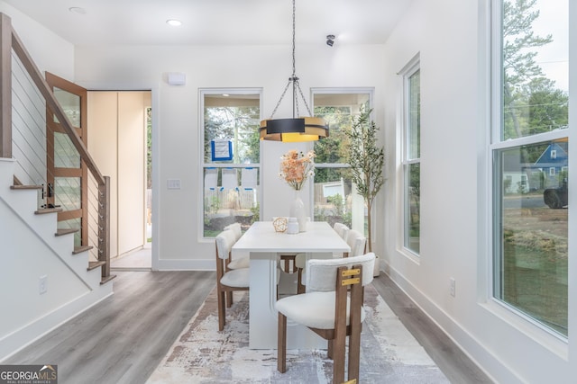 dining room featuring wood-type flooring