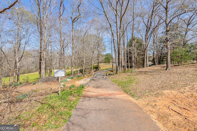 1231 Scarlet Oak Cir, Athens, GA 30606 - view of property's community with driveway