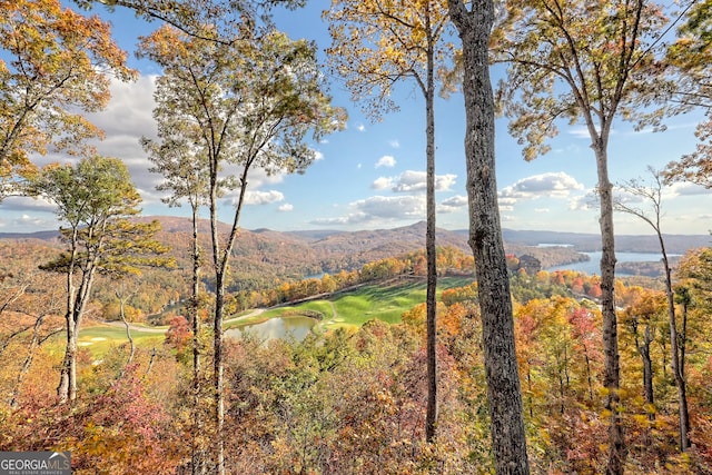 property view of mountains with a water view