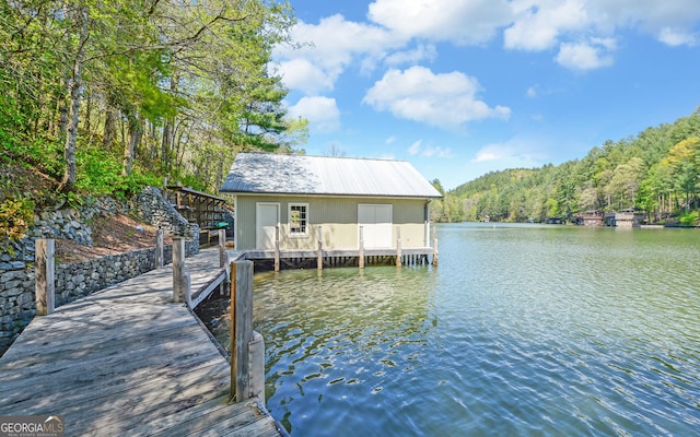 dock area with a water view