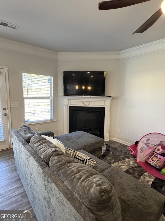 living room featuring ceiling fan, dark wood-type flooring, and crown molding