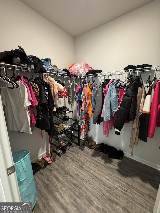 walk in closet featuring hardwood / wood-style flooring