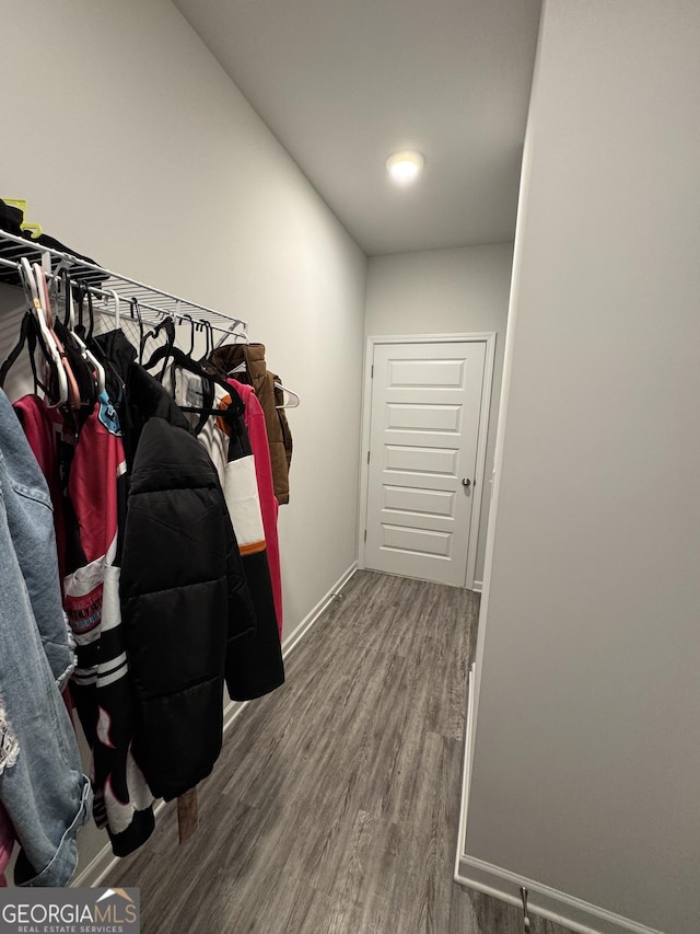 spacious closet with hardwood / wood-style flooring