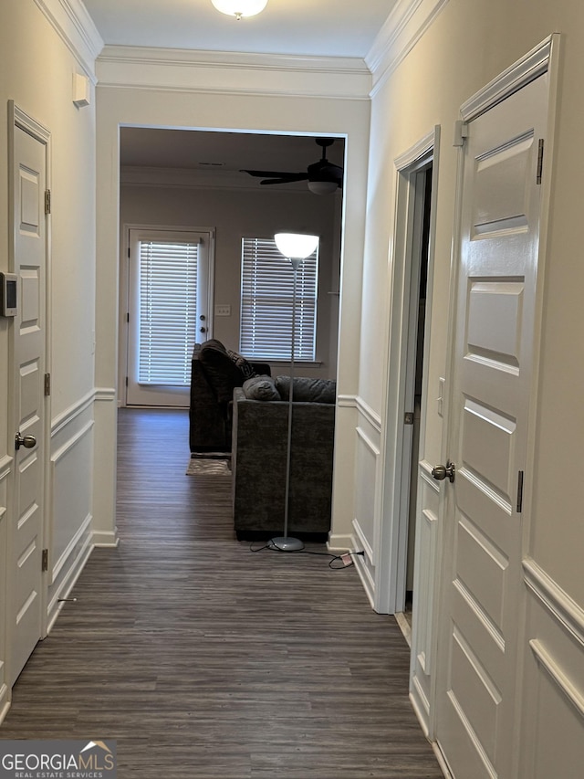 hallway with ornamental molding and dark hardwood / wood-style floors