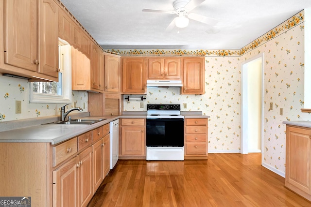 kitchen featuring sink, light hardwood / wood-style flooring, electric range oven, and dishwasher