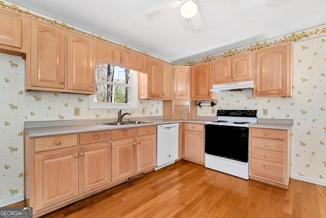 kitchen featuring sink, light brown cabinets, light hardwood / wood-style floors, white dishwasher, and electric range