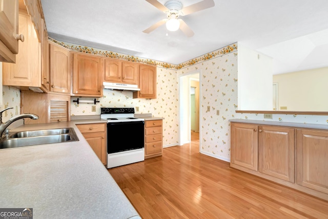 kitchen with range with electric stovetop, ceiling fan, light hardwood / wood-style floors, and sink