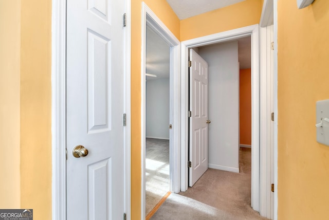 hall featuring light colored carpet