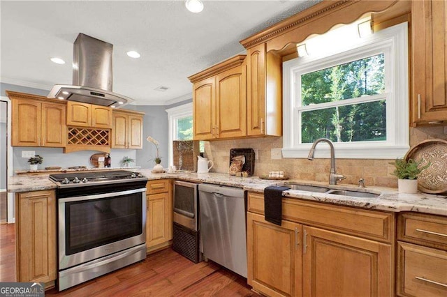 kitchen featuring sink, stainless steel appliances, ornamental molding, and island range hood