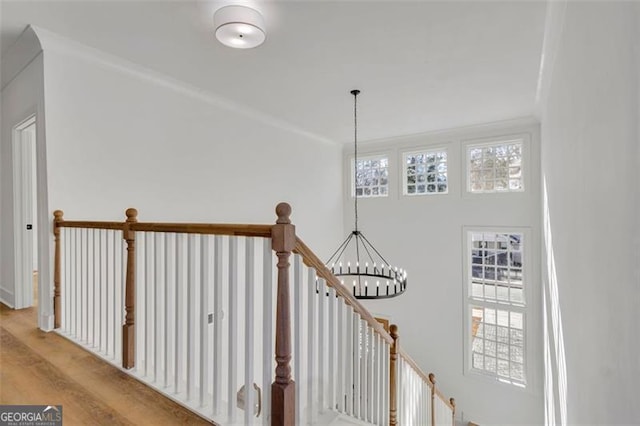 staircase with wood-type flooring, an inviting chandelier, and crown molding