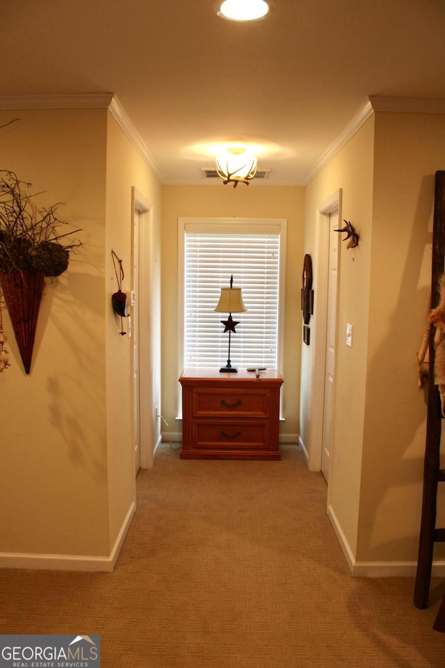 corridor with crown molding and carpet flooring