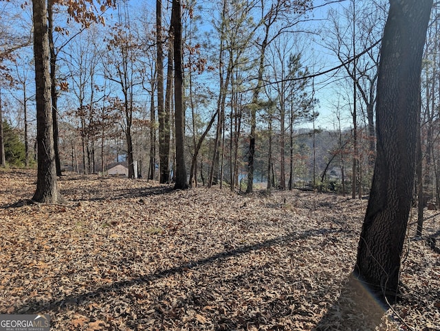 Listing photo 3 for 0 Hayes Dr, Gainesville GA 30506