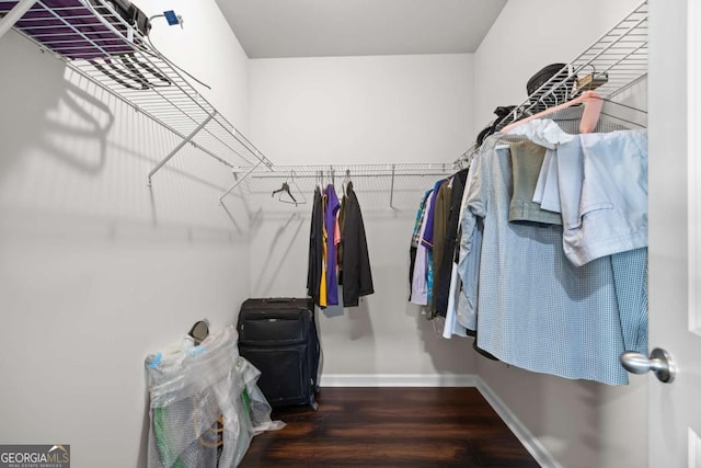 spacious closet featuring dark hardwood / wood-style floors