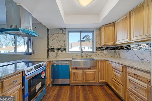 kitchen with dark wood-type flooring, island exhaust hood, a tray ceiling, appliances with stainless steel finishes, and sink