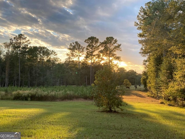 view of yard at dusk