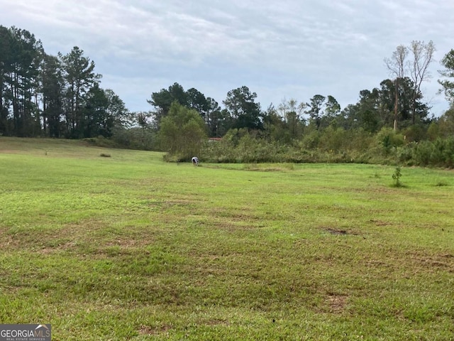 view of yard featuring a rural view