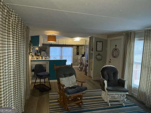 sitting room featuring wood-type flooring