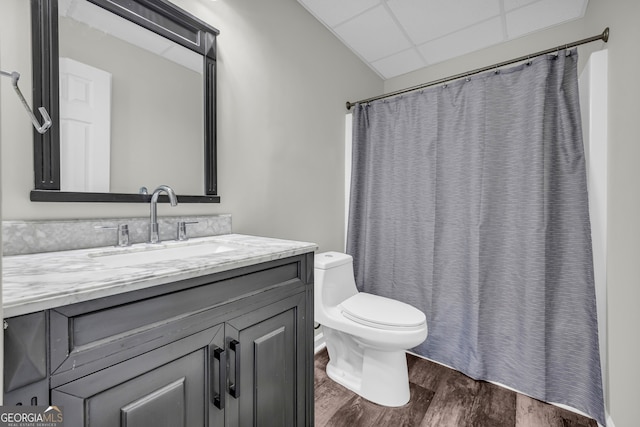 bathroom with a drop ceiling, toilet, vanity, and hardwood / wood-style flooring