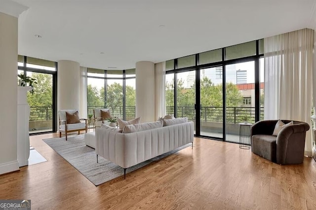 living room featuring a wall of windows, a healthy amount of sunlight, and light hardwood / wood-style floors