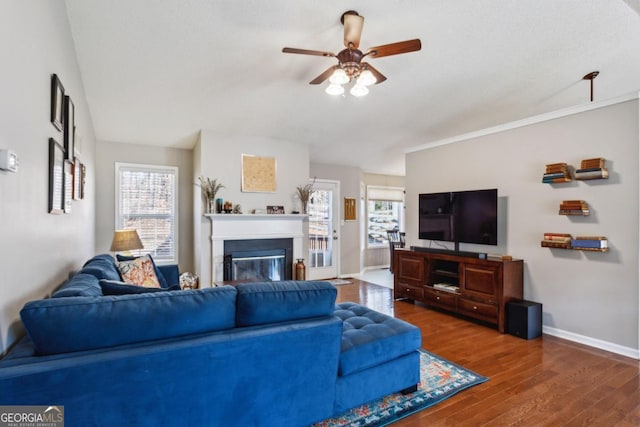 living room featuring ceiling fan and dark hardwood / wood-style floors