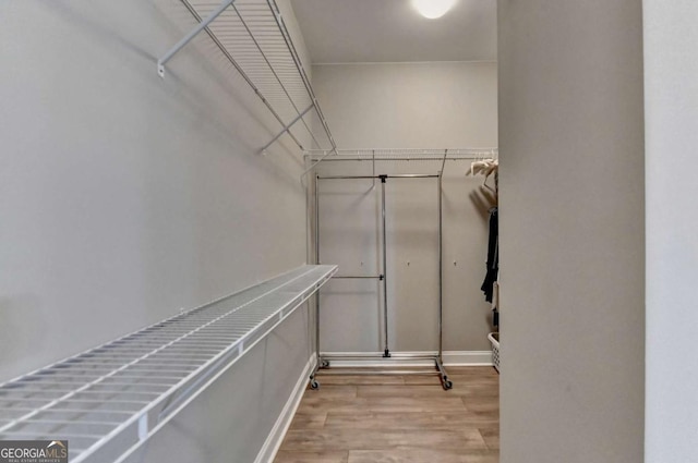 walk in closet with light hardwood / wood-style floors