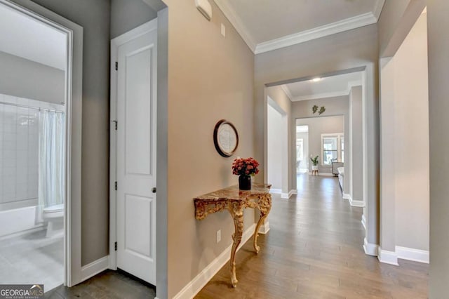 corridor with crown molding and wood-type flooring