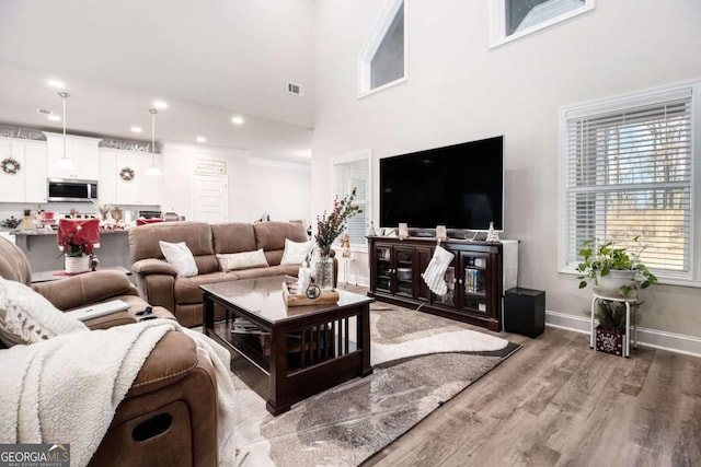 living room featuring a towering ceiling and hardwood / wood-style flooring