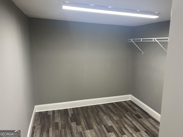 spacious closet featuring dark hardwood / wood-style floors