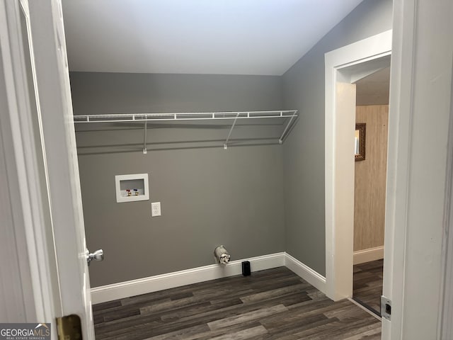 washroom featuring dark wood-type flooring and washer hookup