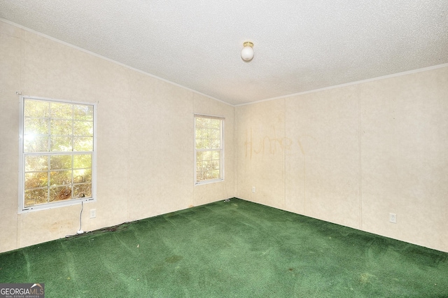 carpeted empty room with lofted ceiling and a textured ceiling