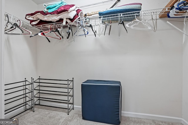 spacious closet with carpet