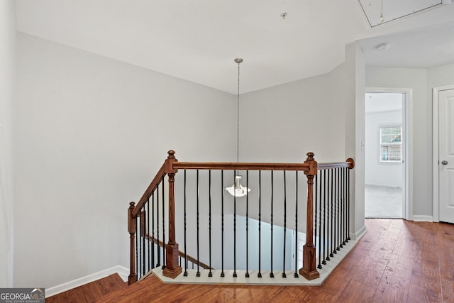 staircase with hardwood / wood-style flooring