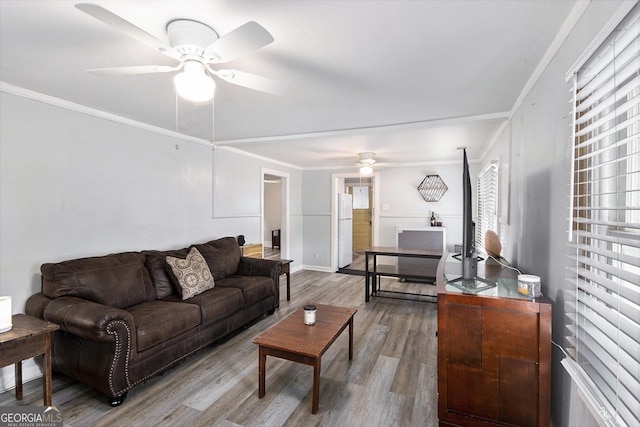 living room featuring crown molding, ceiling fan, and hardwood / wood-style floors