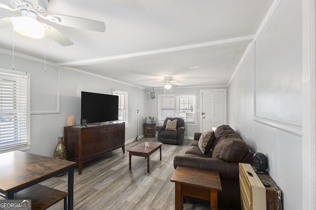 living room featuring ceiling fan, ornamental molding, and light wood-type flooring