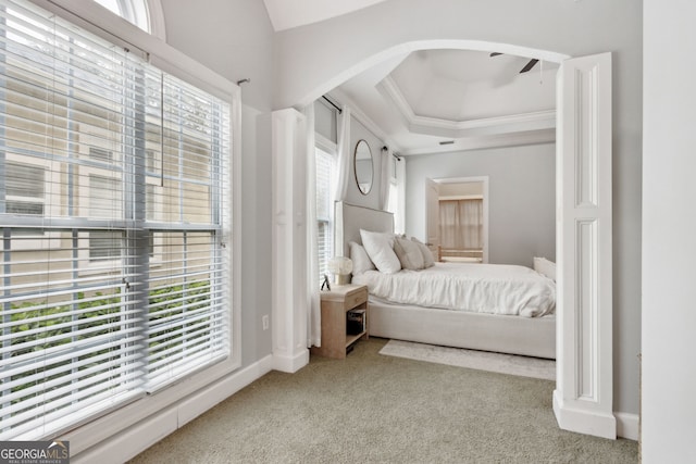 carpeted bedroom featuring a tray ceiling and crown molding