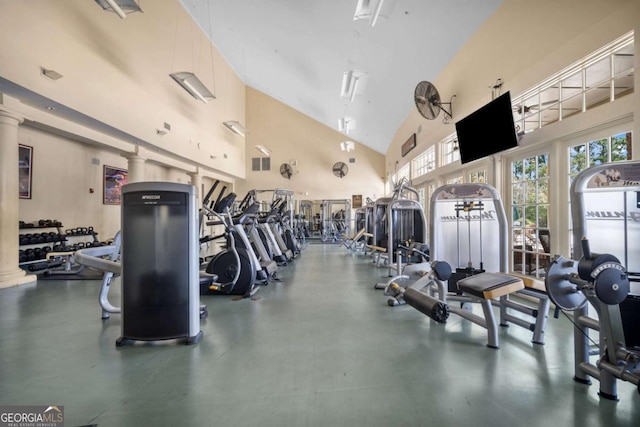 22 Lazy Hammock Ct, Savannah, GA 31419 - exercise room featuring high vaulted ceiling