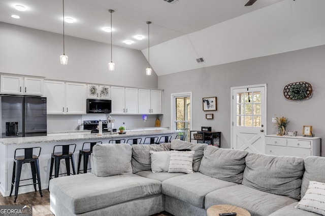 living room featuring dark wood-type flooring and lofted ceiling