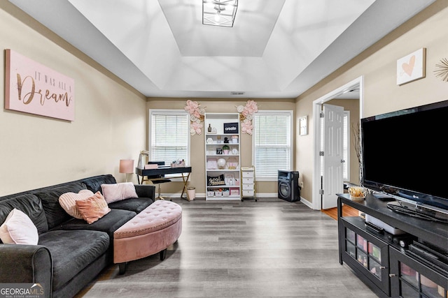 living room with wood-type flooring and a raised ceiling