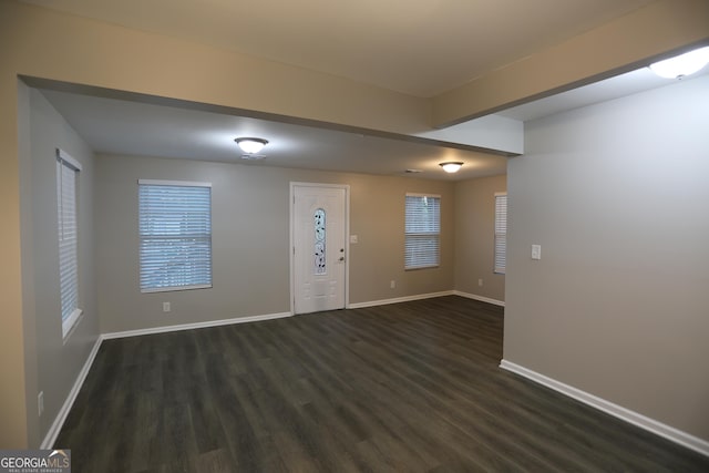 foyer entrance featuring dark wood-type flooring