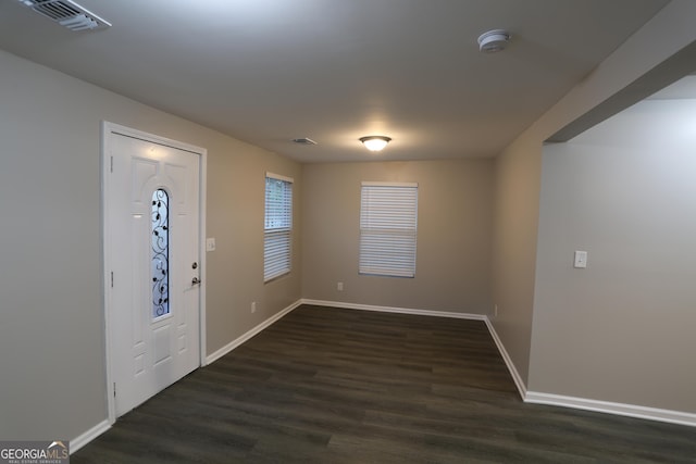 foyer entrance featuring dark wood-type flooring