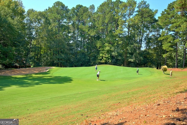 view of community with a lawn