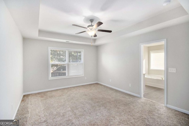 carpeted empty room featuring a raised ceiling, ceiling fan, and plenty of natural light