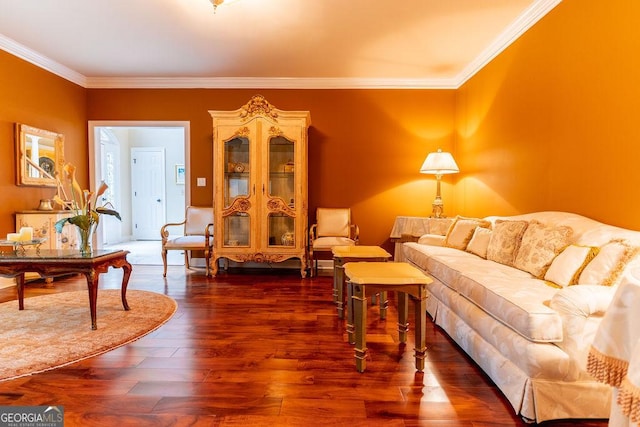 living room featuring dark wood-type flooring and crown molding