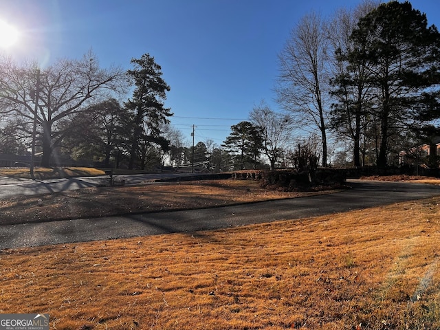 314 Cherokee Rd, Thomaston, GA 30286 - view of road
