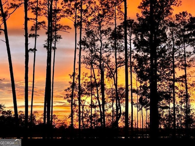 view of nature at dusk