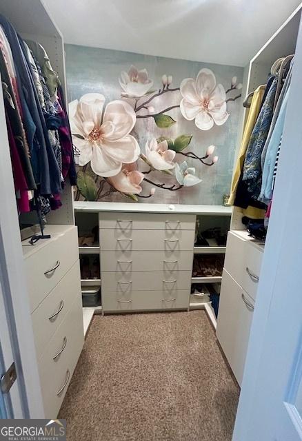 walk in closet with carpet