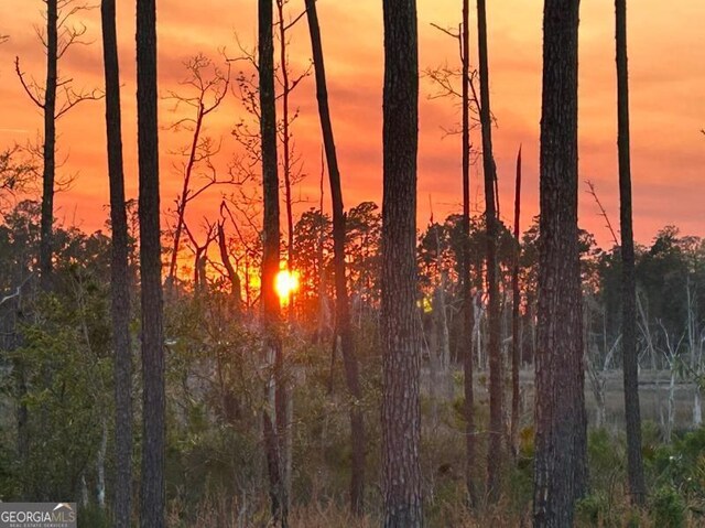 view of nature at dusk